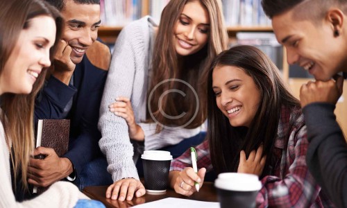 Language Trainings